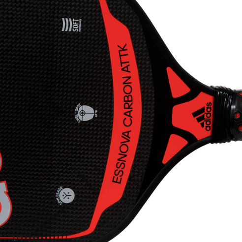 Pickleball П. Б. Єснова Карбон АТТК